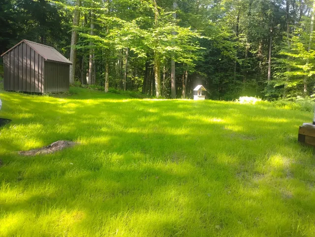 Property Cleanup & Landscape Improvements