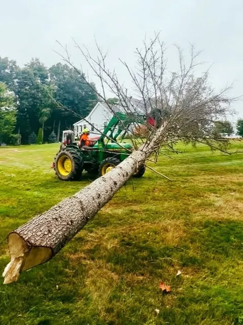 work photo from dcwoodservices.com