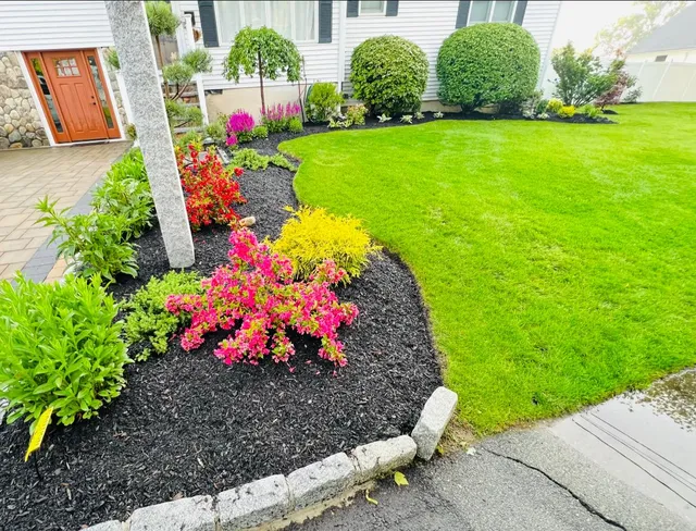 Juarez Landscaping and Tree Services