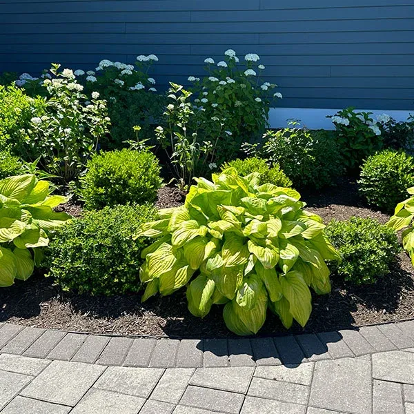 work photo from ivelandscaping.com