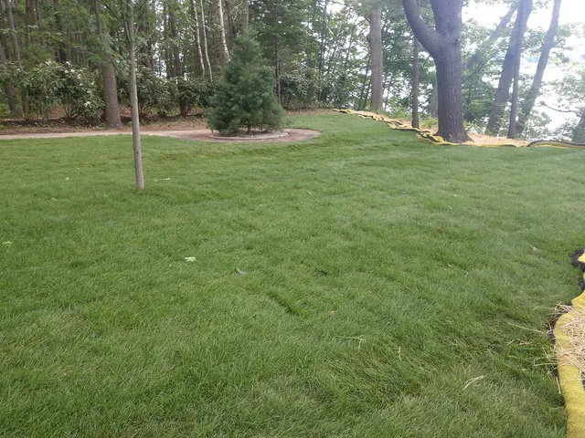 work photo from greenlawnandsnow.com