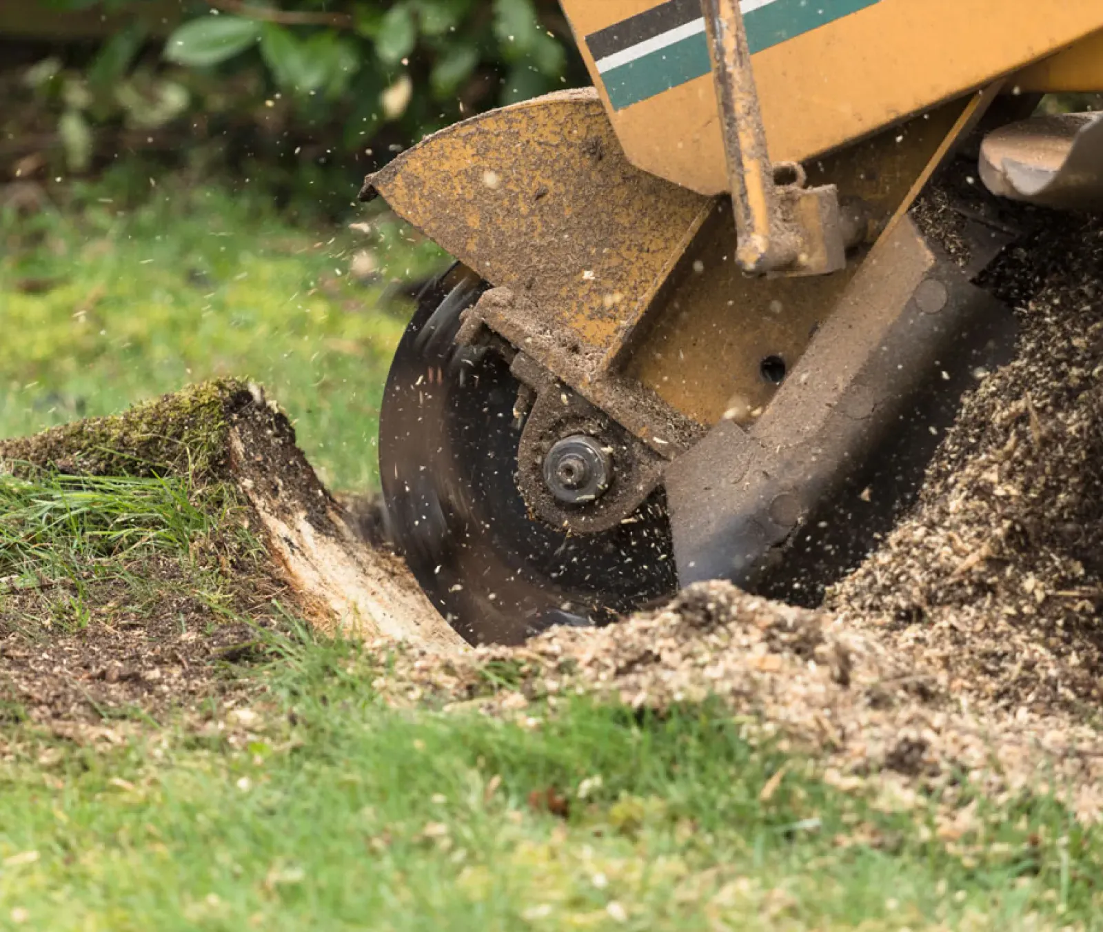 work photo from robachtreeservice.com