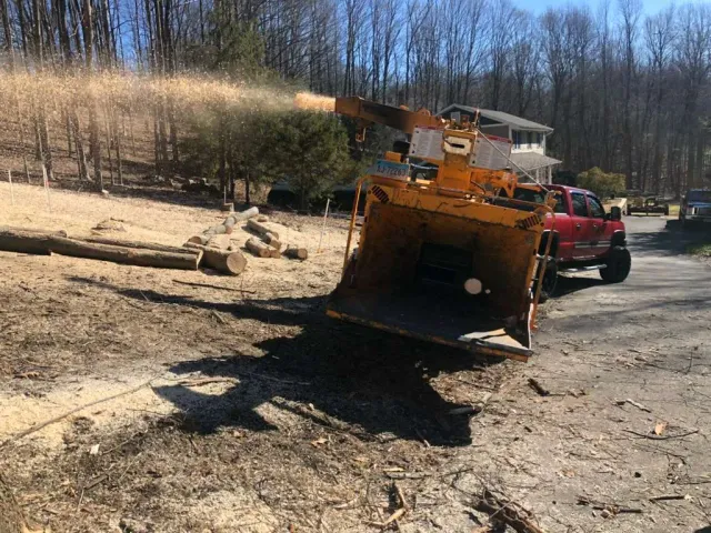work photo from mjtreeservicesllc.com