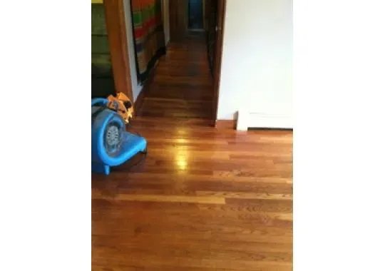 Proclean Wood Floors researched project photo