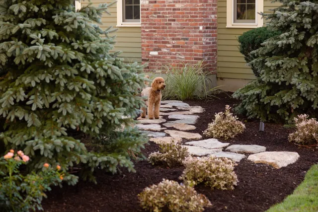 Medway Backyard Retreat