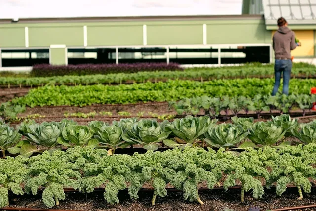 Green City Growers work photo