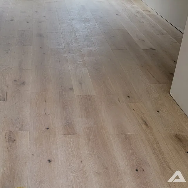Absolute Floors