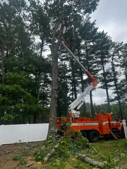 work photo from robachtreeservice.com