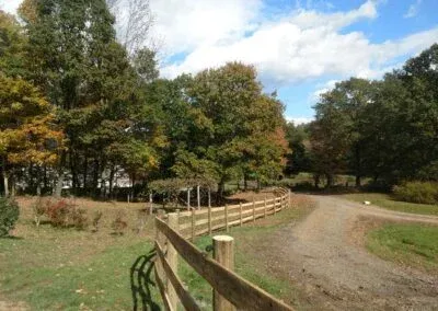 work photo from bastonisfence.com
