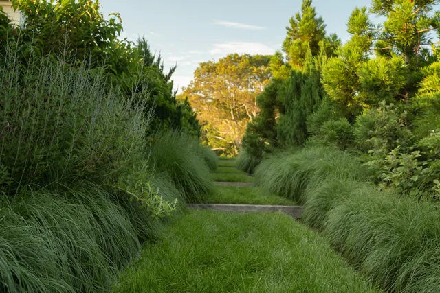 Turf-and-stone stair through massed ornamental grasses and evergreens
