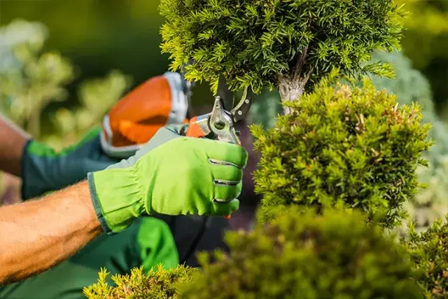 work photo from tgslandscaping.co