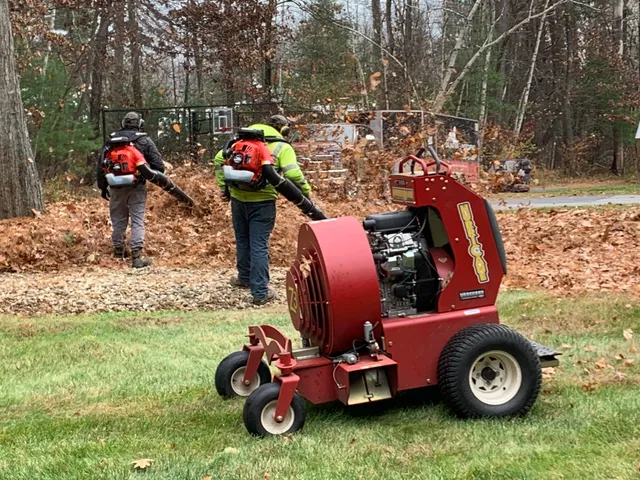 Dalmatian Landscaping work photo