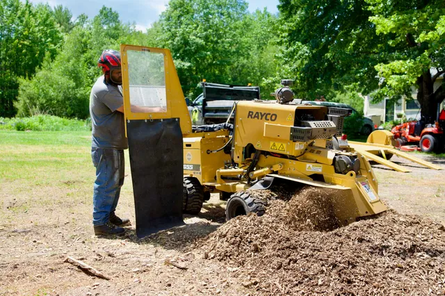 work photo from gardnertreeme.com