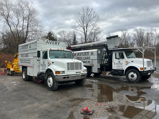 Avery Tree Care work photo