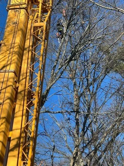 work photo from treetechinc.net