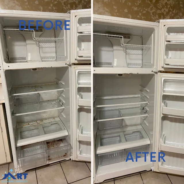 Art Of Cleaning work photo