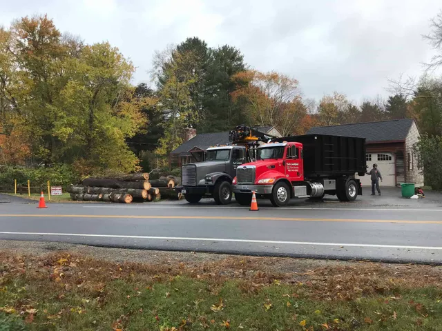 work photo from northsmithfieldtreeservice.com