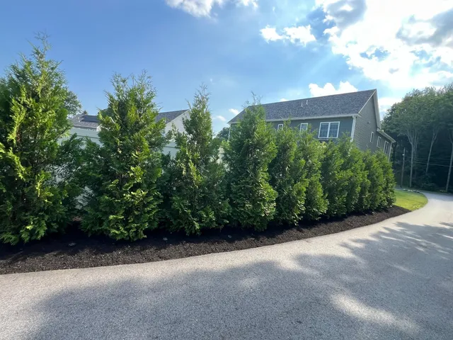 Olivers Landscaping Corp work photo