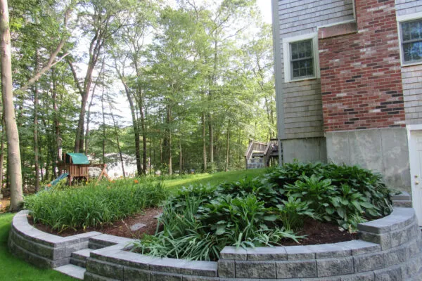 rounded-brock-backIMG_4955
