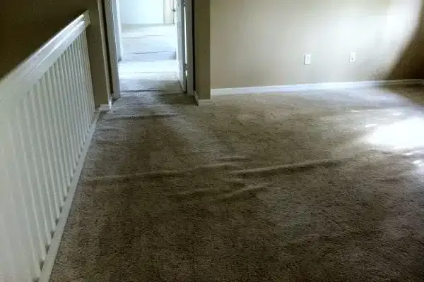work photo from sparklespreecleaning.com