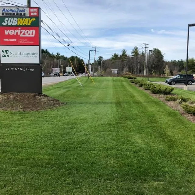 Shaheen Landscaping researched project photo