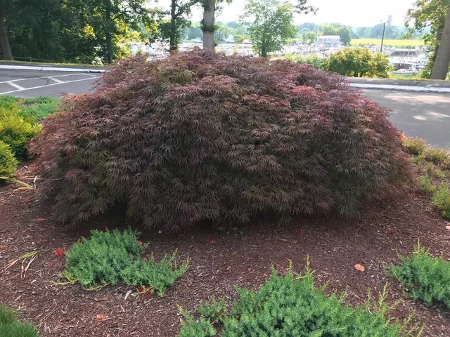 work photo from lacasseandsonlandscaping.com