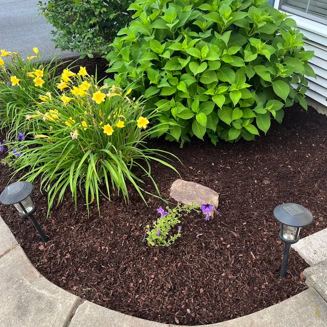 L & D Property Maintenance LLC work photo