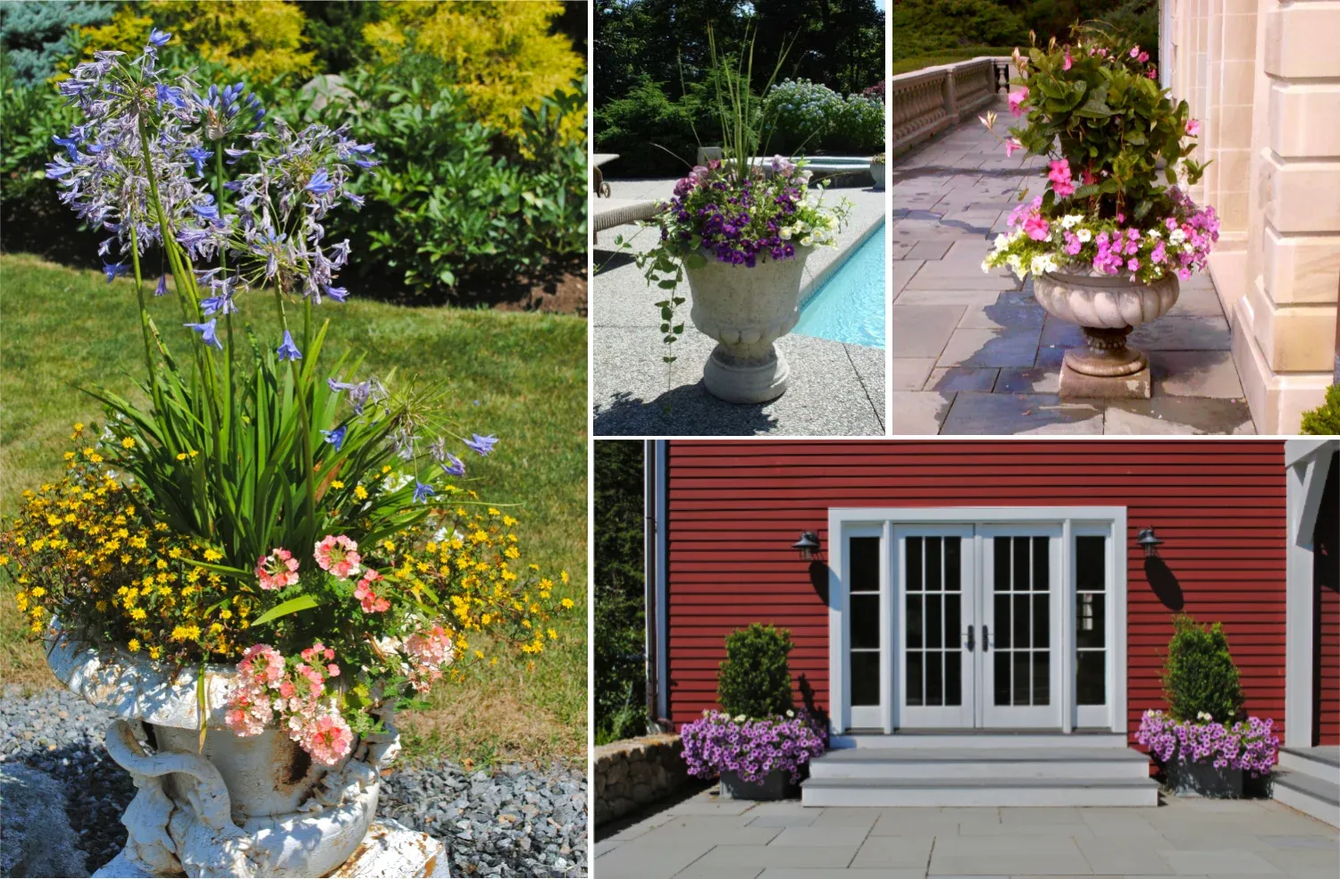 Pots & Planters