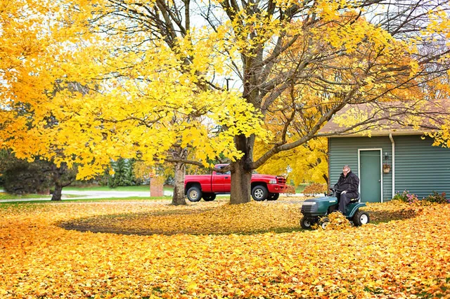 work photo from progreenlandscapingma.com
