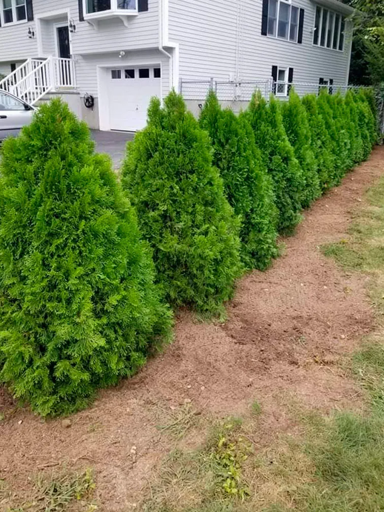 work photo from bslandscapingllc.com
