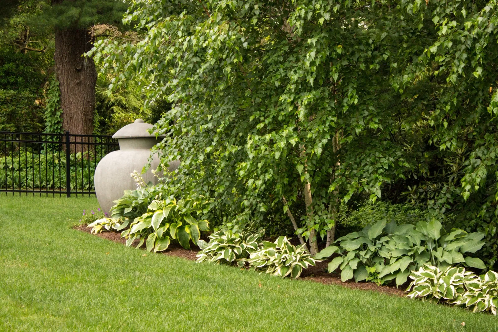 49-GardenMatesNewton-184.jpg