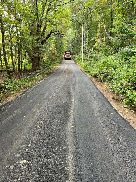 Asphalt road through forest, bus in the distance. Lush green trees line the sides.