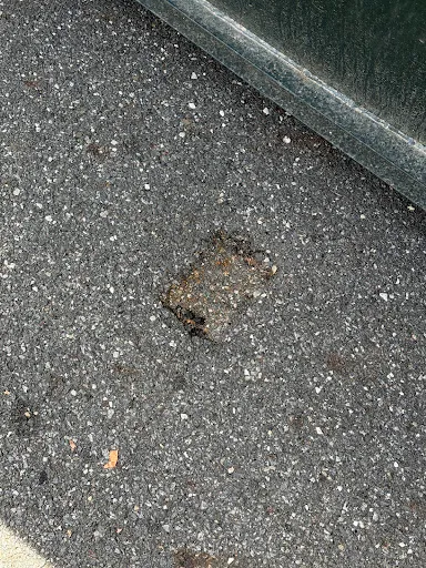 Review photo by 2nd email