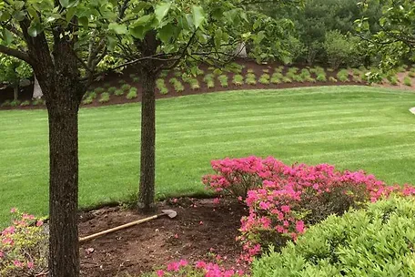 landscape design 2.jpg