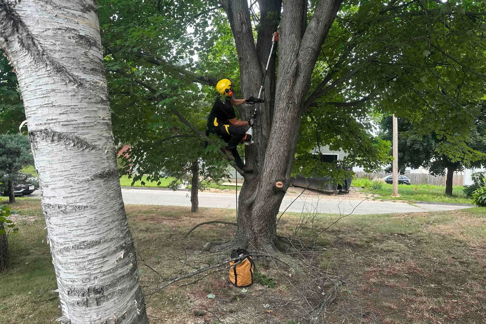 work photo from Google listing
