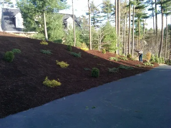 work photo from limaslandscape.com