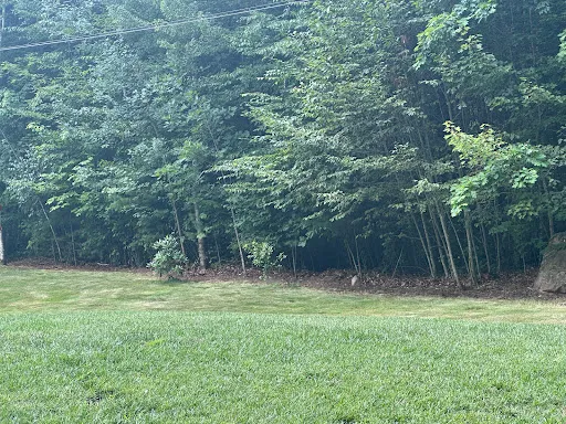 Review photo by Kelly Doyon