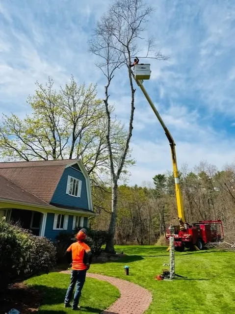 work photo from dcwoodservices.com