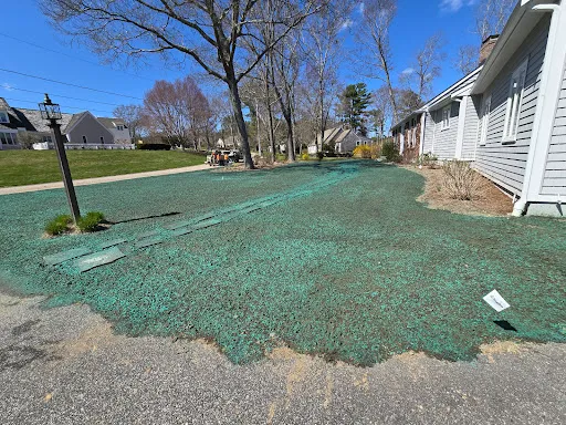 Review photo by S C