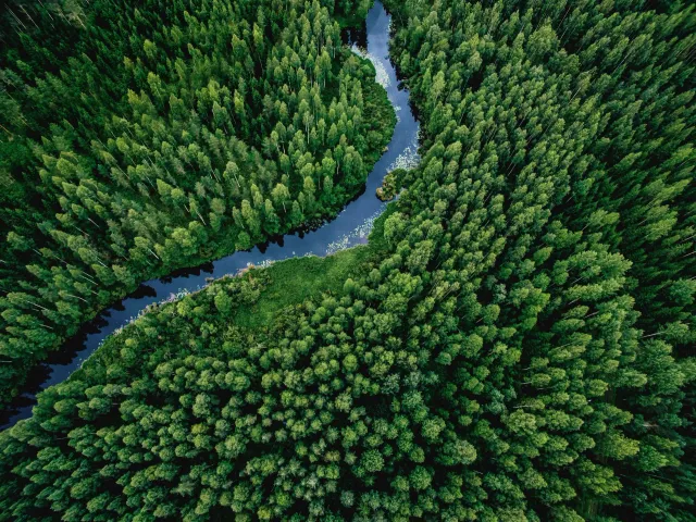 Aerial view of a winding river flowing through a dense, green forest.