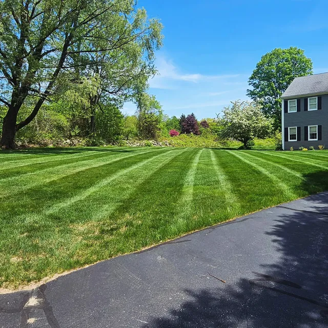 Above and Beyond Landscaping work photo