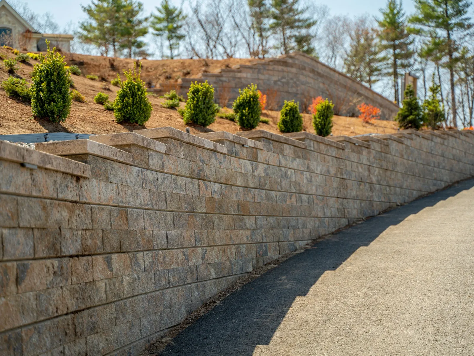 _DSC5037.jpg
