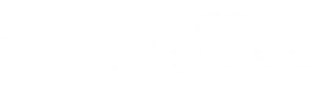 Spring Brook Ice & Fuel Service logo