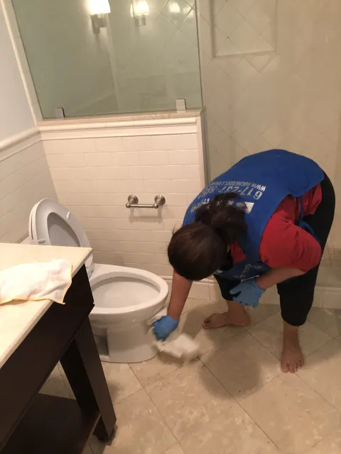 work photo from rochedocleaning.com