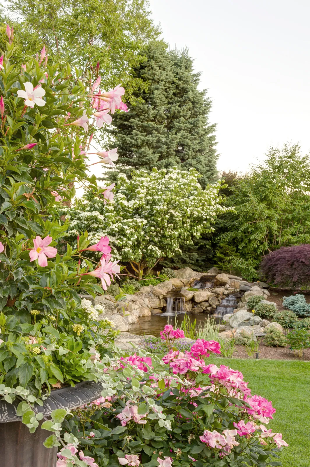 Maintained-Garden-Landscape