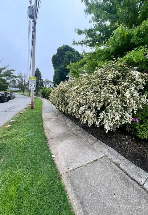 work photo from gaticalandscaping.com