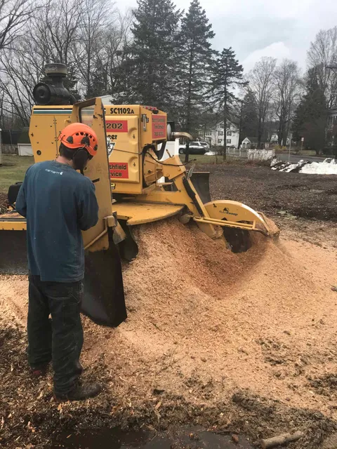 work photo from northsmithfieldtreeservice.com