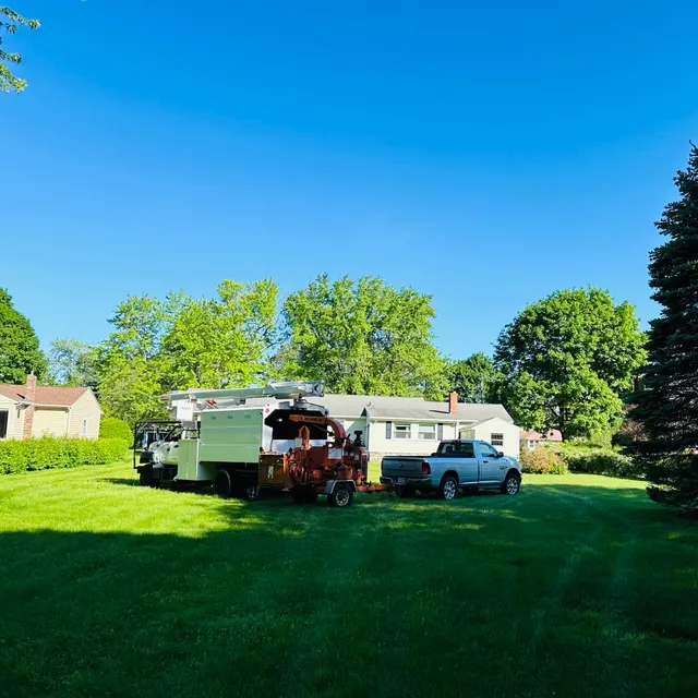 Pine Point Tree Service work photo