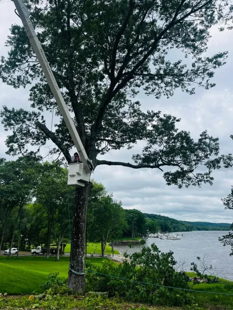 A person riding an aerial lift or bucket truck in a park near a river, with boats docked along the shoreline and hills in the background, under a cloudy sky.