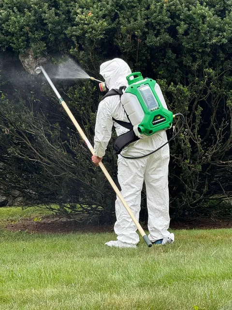 Veganix Pest Management work photo